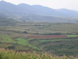 大阿棚自然村 大阿棚自然村