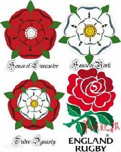 都鐸玫瑰 都鐸玫瑰