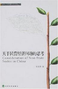 關於民營經濟問題的思考 關於民營經濟問題的思考