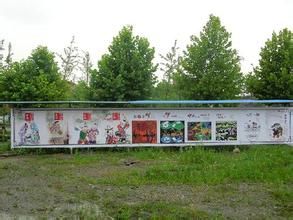 龍湖街道 龍湖街道