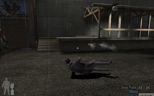 《英雄本色2:馬克思·佩恩的墮落》