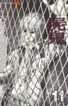 屍鬼[日本藤崎龍作畫的漫畫]