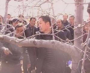 弋家塬村 弋家塬村