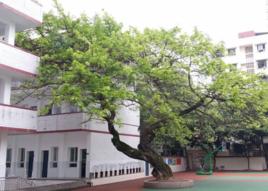 瀘州七中 瀘州七中