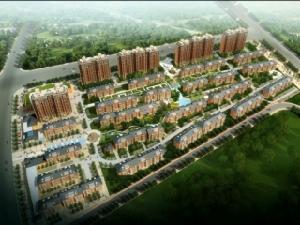 同濟家園 同濟家園