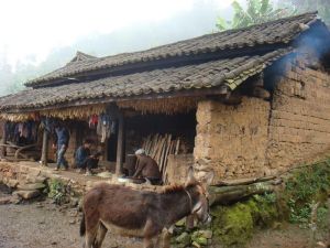 老朱寨村 老朱寨村