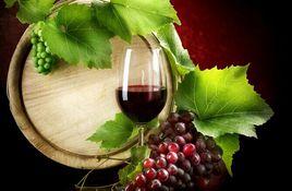 葡萄酒標準 葡萄酒標準