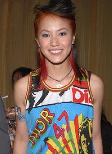 《安娜與武林》