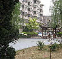 大岸影視村 大岸影視村