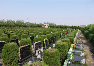 大觀山文化陵園 大觀山文化陵園