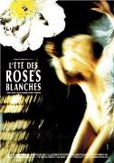 《白玫瑰》 《白玫瑰》