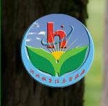 河池市教育局 河池市教育局