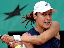 斯萊伯尼克 斯萊伯尼克