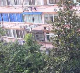 嘉善路232弄小區 嘉善路232弄小區