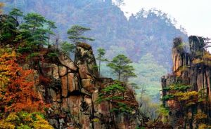 天橋溝國家森林公園