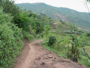 黃果樹村[雲南南澗縣南澗鎮下轄村]
