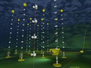 ANTARES 水下中微子探測陣列