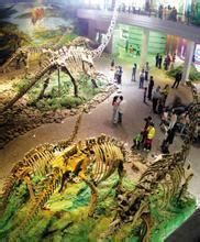 美國猶他州國立恐龍公園 美國猶他州國立恐龍公園