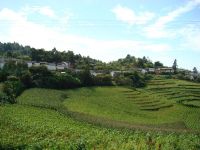 蓋章山自然村 蓋章山自然村