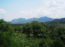 下營鎮[天津市薊州區下營鎮]