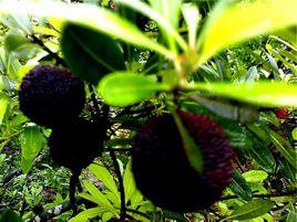 谷饒石壁 谷饒石壁