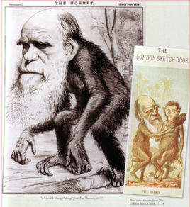 血緣群雜婚 血緣群雜婚