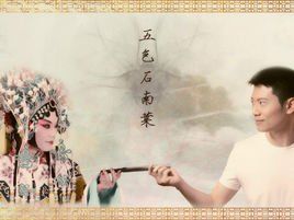 五色石南葉 五色石南葉