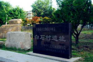 白石村遺址 白石村遺址