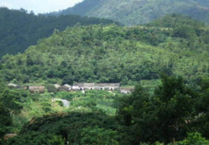 惠州市惠陽金桔市級自然保護區 惠州市惠陽金桔市級自然保護區