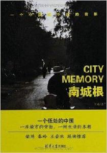 南城根:一個中國城中村的背影 南城根:一個中國城中村的背影