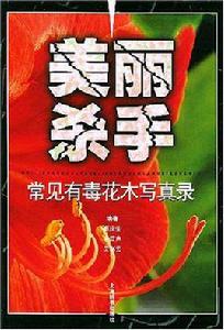 美麗殺手 美麗殺手