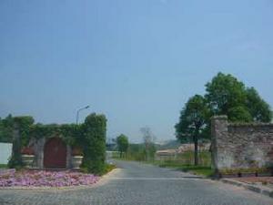 九龍湖悅源莊 九龍湖悅源莊