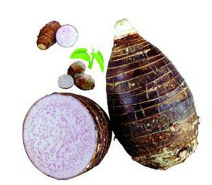 桃川香芋 桃川香芋