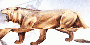 獅貓洞穴亞種 獅貓洞穴亞種