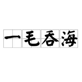 一毛吞海 一毛吞海