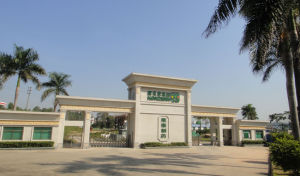 廣州萊泰製藥有限公司 廣州萊泰製藥有限公司