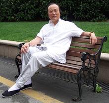 張煒[中國內地書畫家]