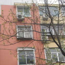 甸柳小區 甸柳小區