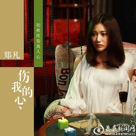 傷我的心 傷我的心
