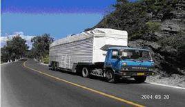 綠色運輸 綠色運輸