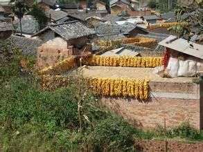 小馬安山村 小馬安山村