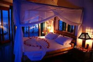 藍色美人蕉島酒店 藍色美人蕉島酒店