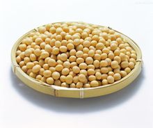 大豆