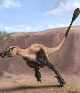 臨河盜龍復原圖