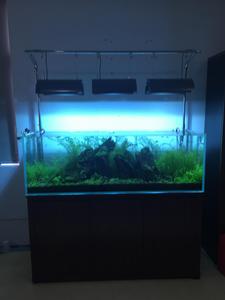 迪茨[浙江台州家居品牌]