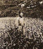 漢口的拆白大王 漢口的拆白大王