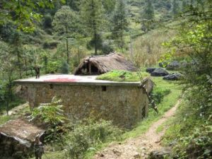 小河溝自然村 小河溝自然村