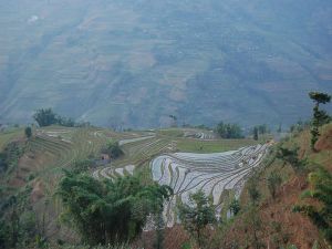 大勐真村 大勐真村