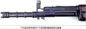 (圖)國產81式步兵槍族