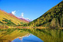 四姑娘山雙橋溝